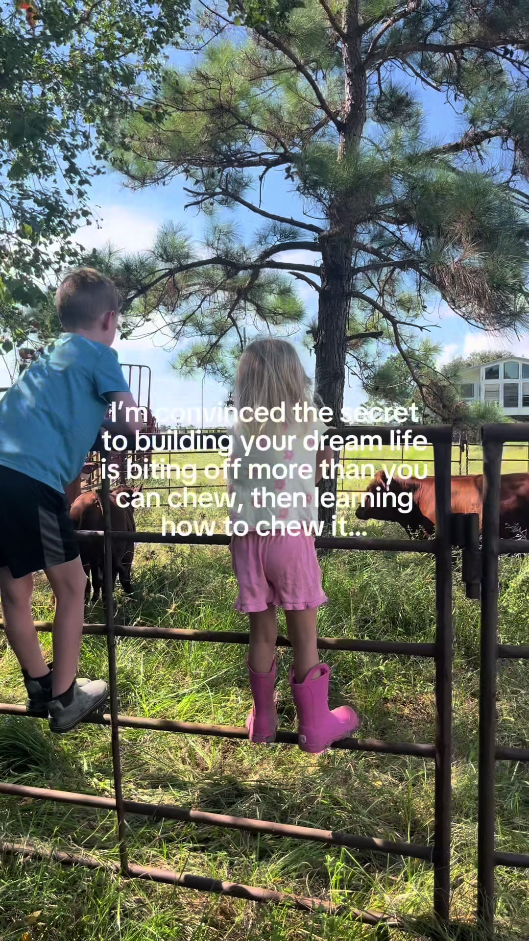 @chenierpinesfarm