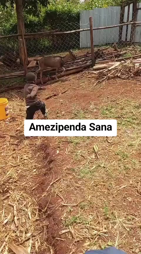 @Sam Kariuki