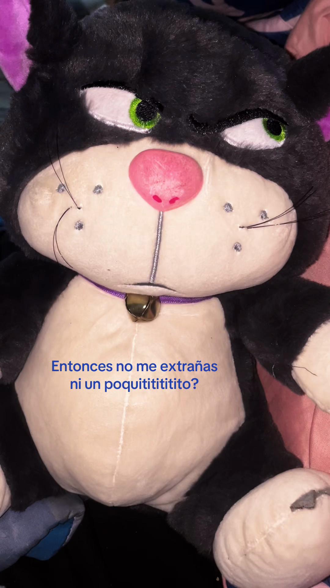 @mateo 🧑🏻🦱