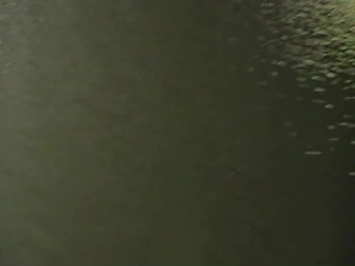 @сшк шврц