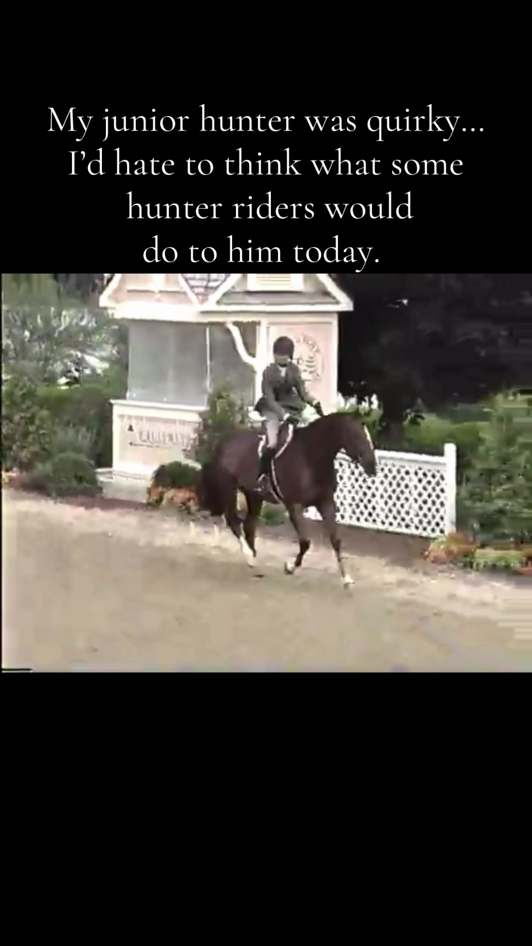 @elliemorrisequestrian