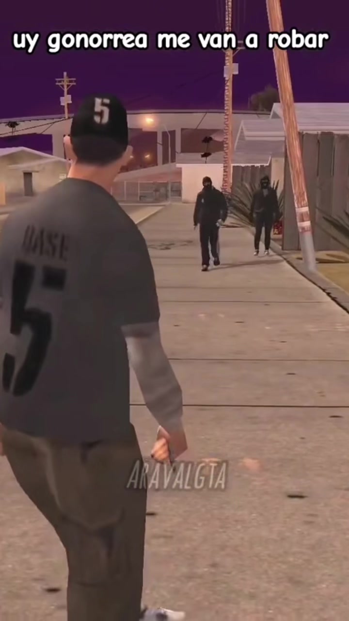 @GTA95 ZOO