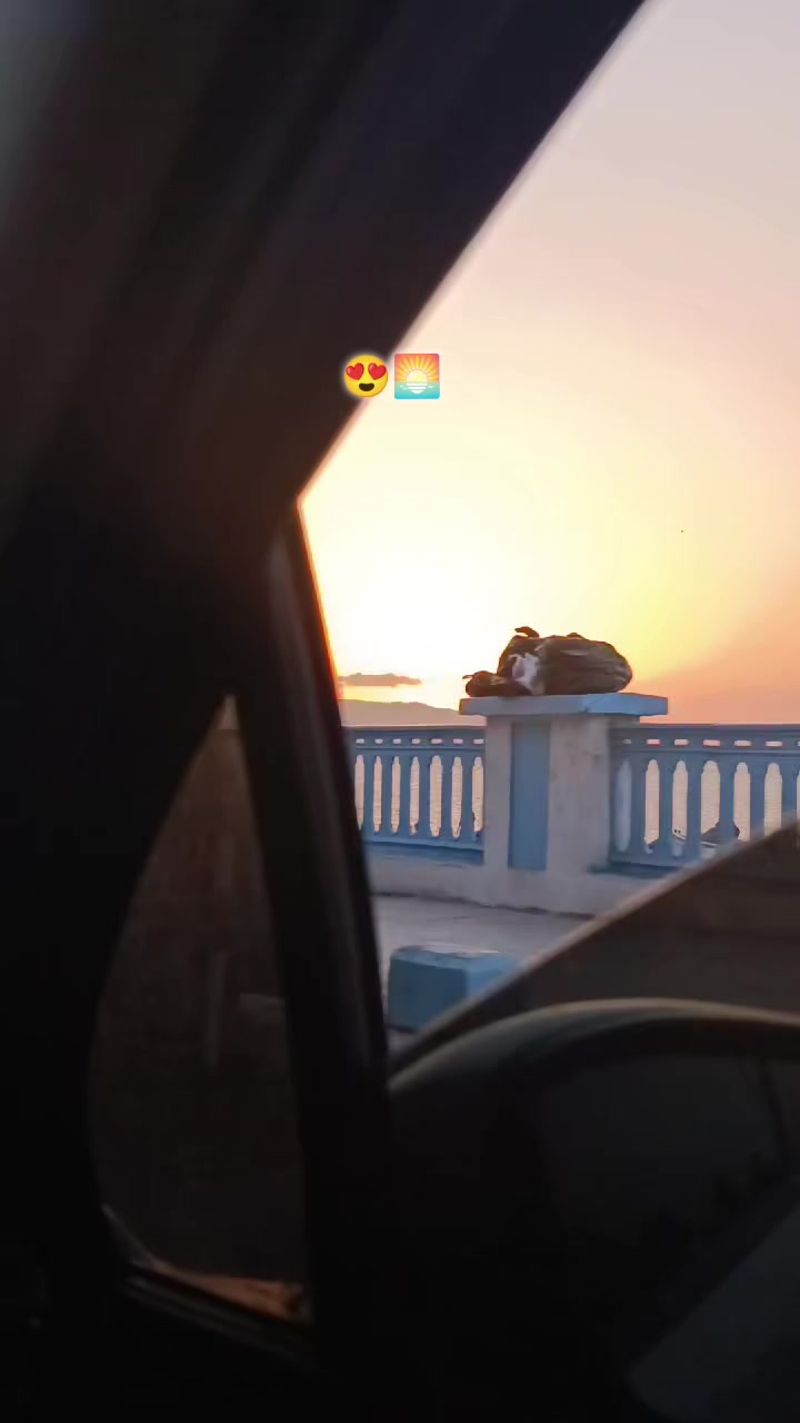 @T‼️