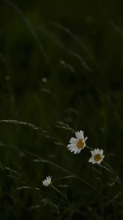 @قـــــــرآن