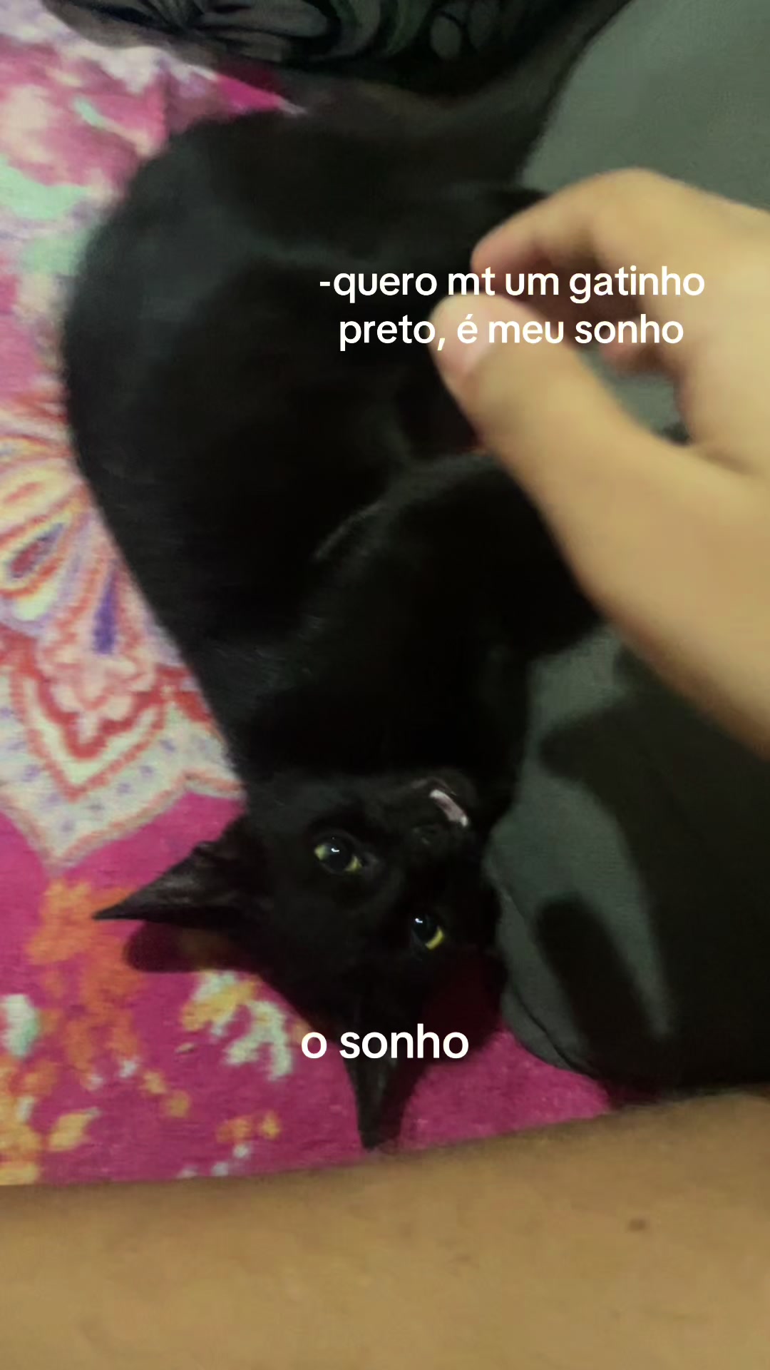 @é a bh🤟🏽