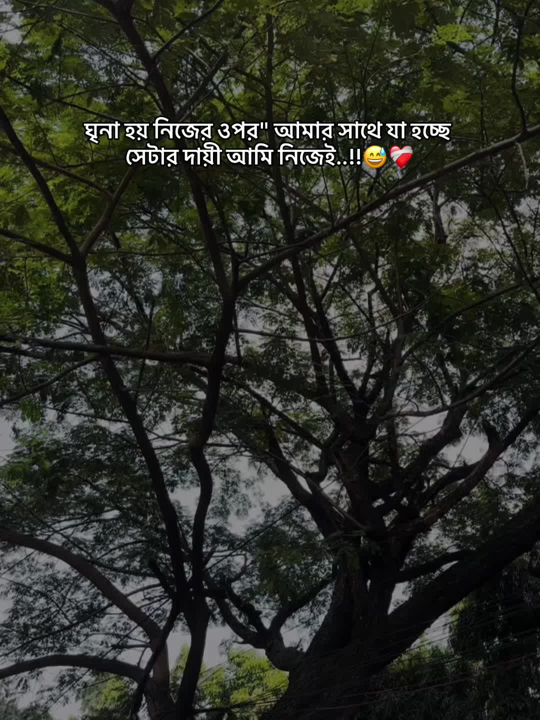 @⚡ ANANTA ...🕷️