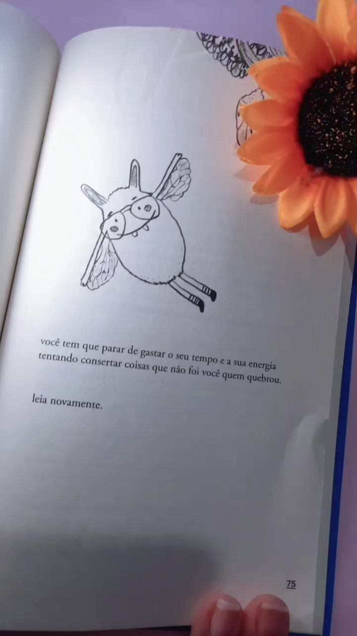 @Andreia Nogueira
