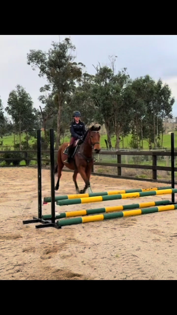 @Imi_.equestrian