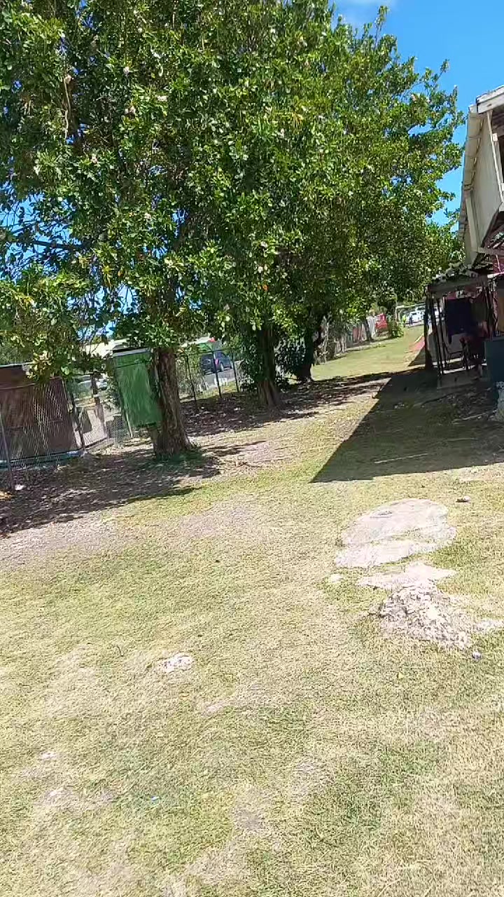 @👤