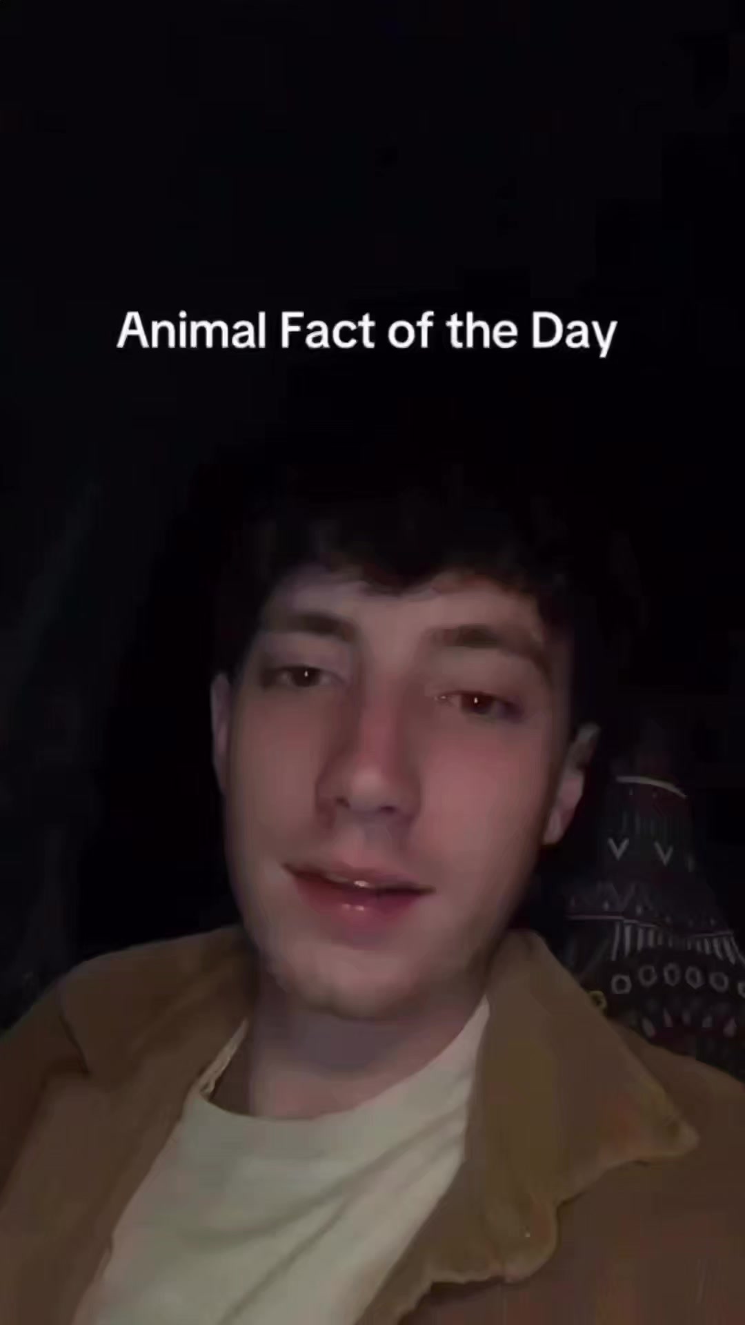 @CreaminAmen4MyTungTricks