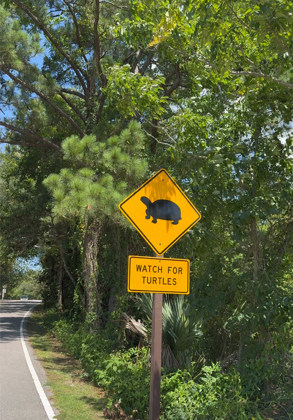 @Coastal Mississippi