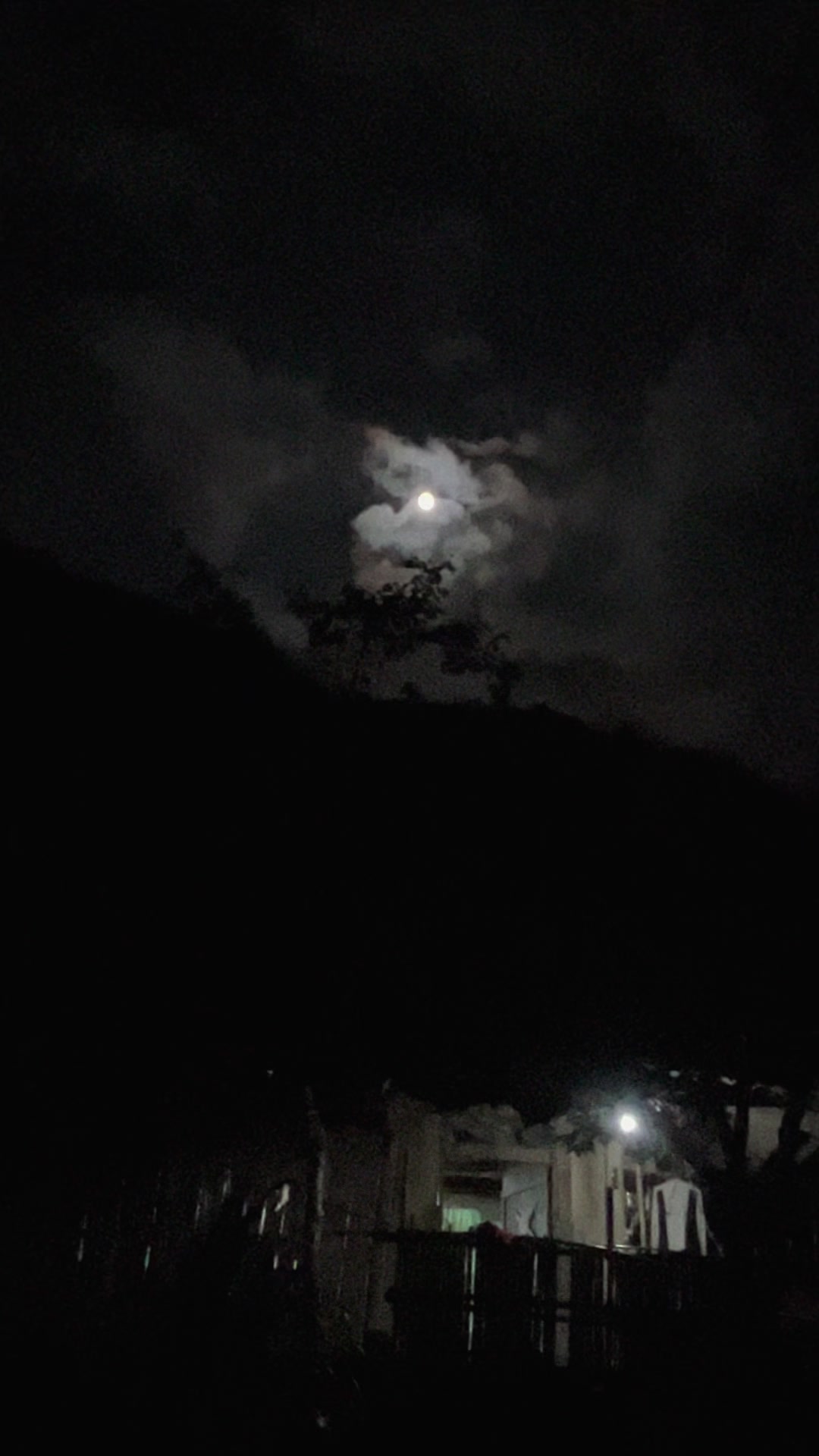 @L&Iacute;U  🇻🇳☣️