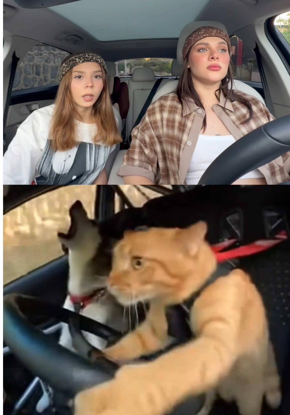 @Aslı Güler Kılıçaslan