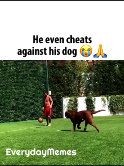 @EverydayMemes