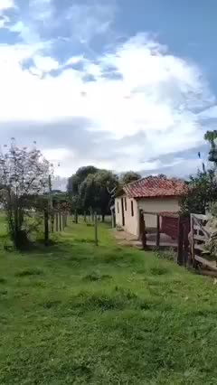 @nairtaciana