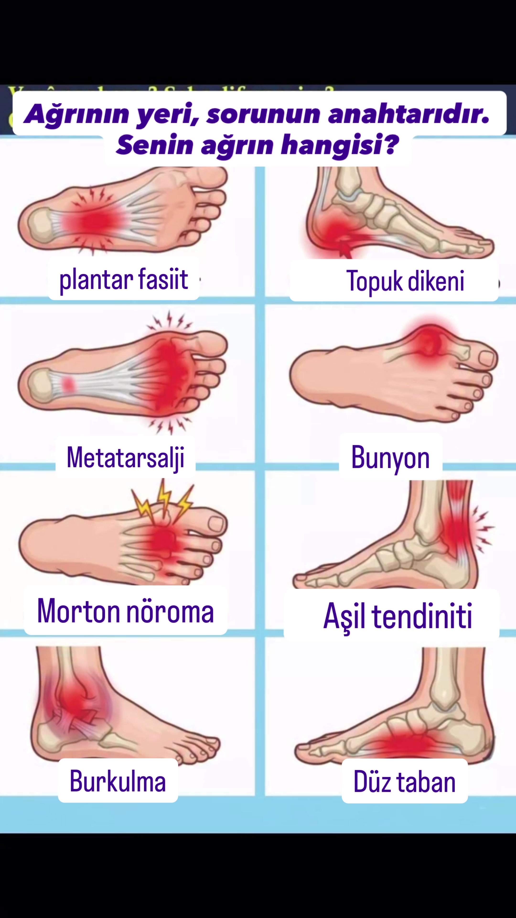 @Dr. Beşir Şahin İnceer