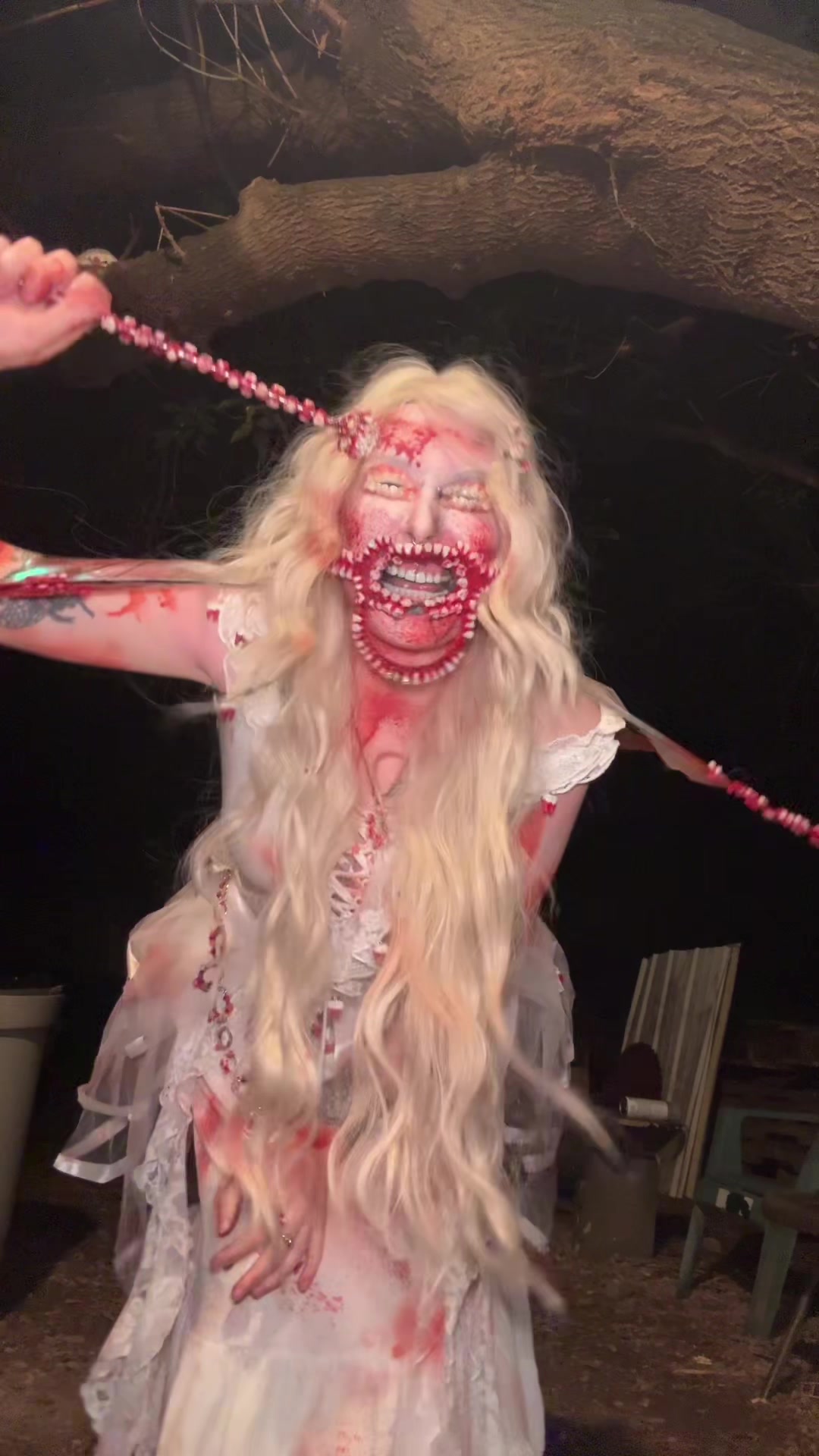 @hailey.sfx