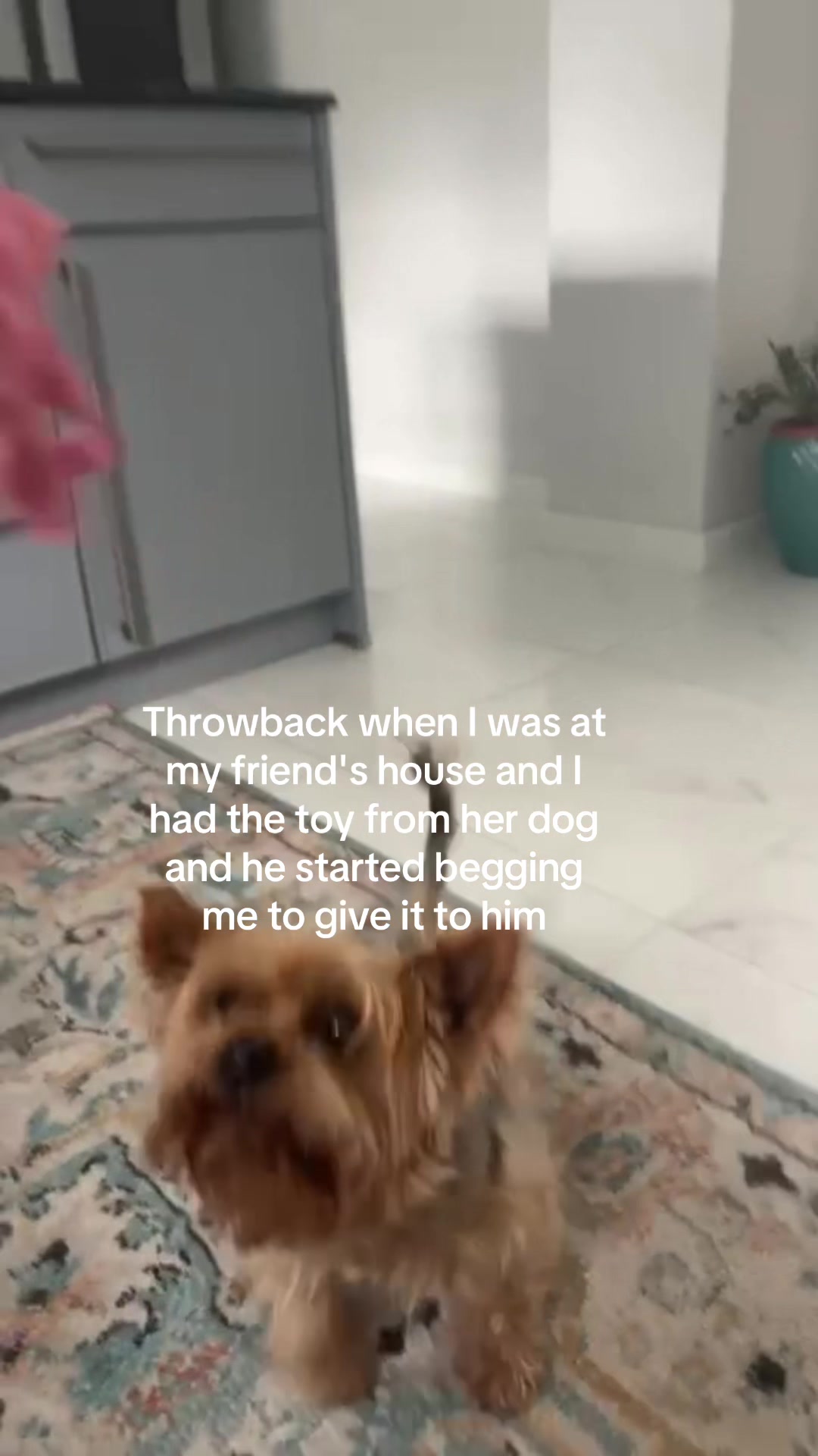 @🪷