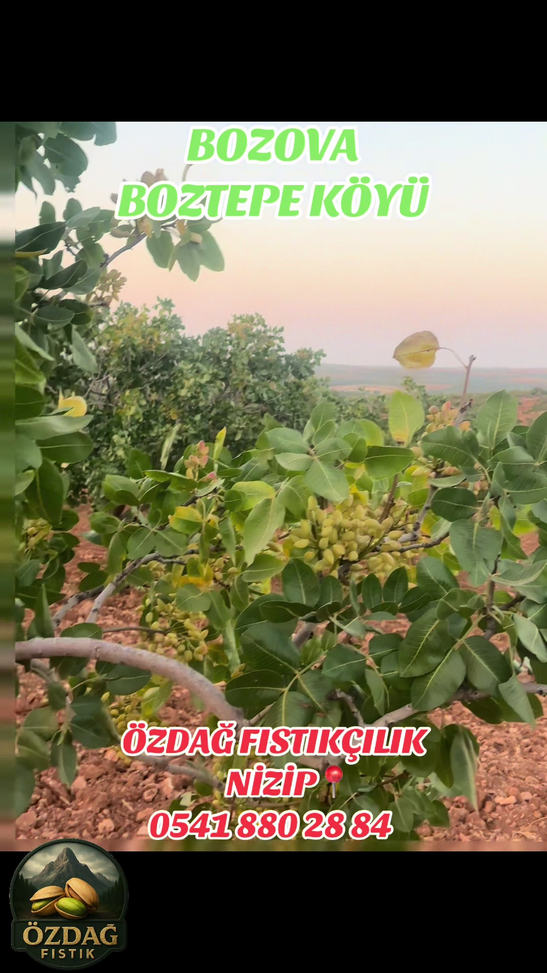 @ÖZDAĞ FISTIKÇILIK