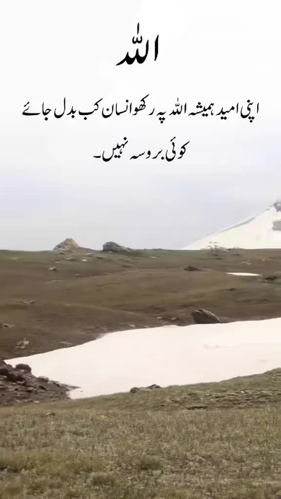 @Muhammad Saleem