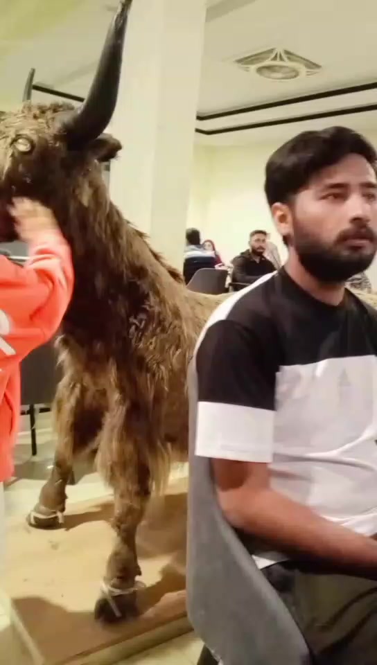 @*ZeeshanWasLi*🦁(ذیشان وصلی)🦂