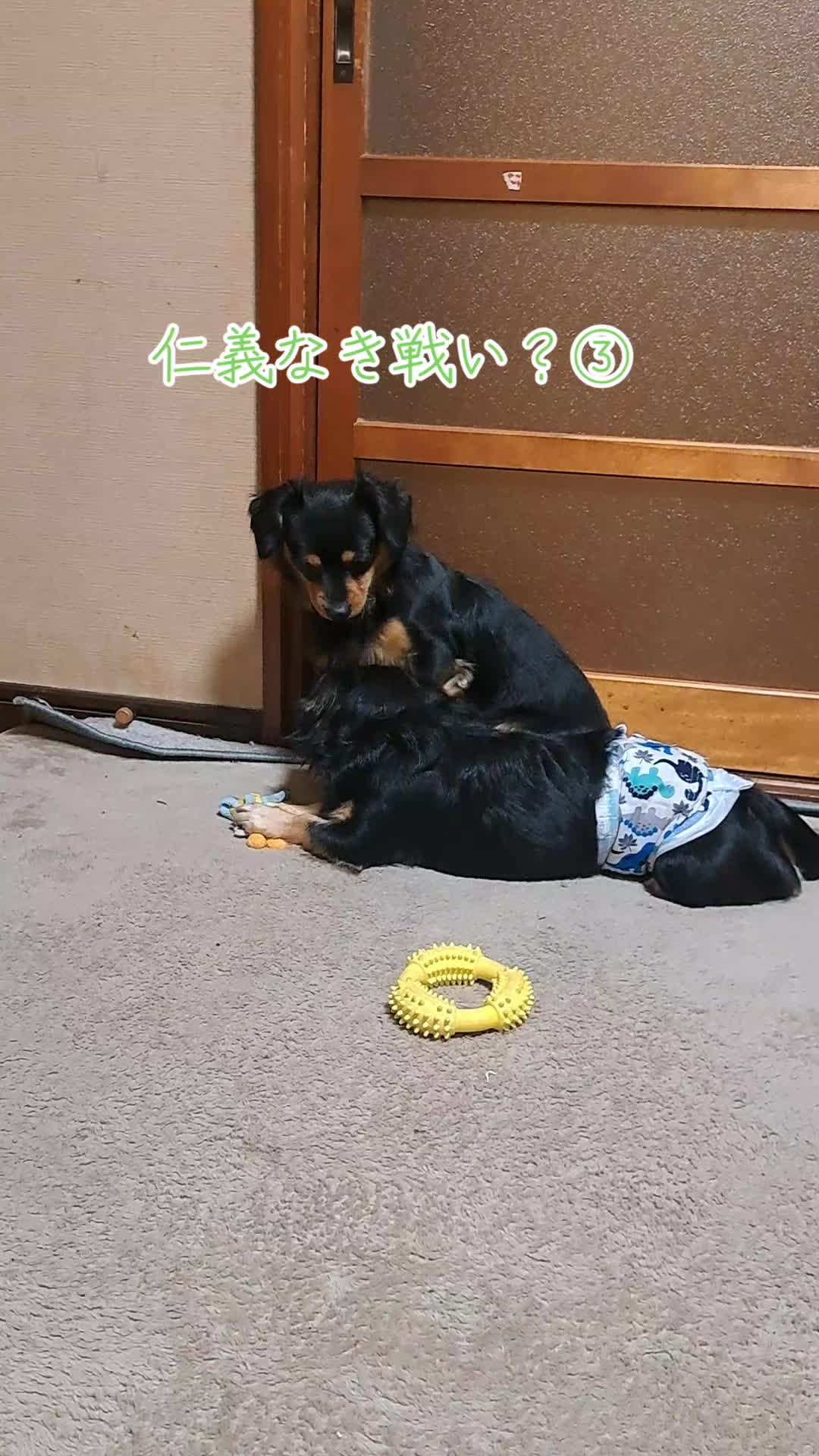 @タケヤッコ