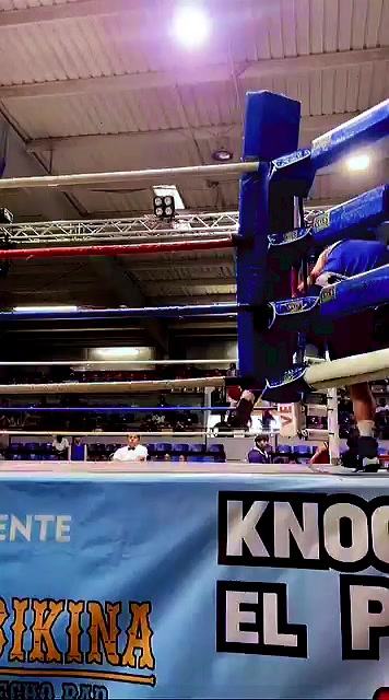 @palas boxing