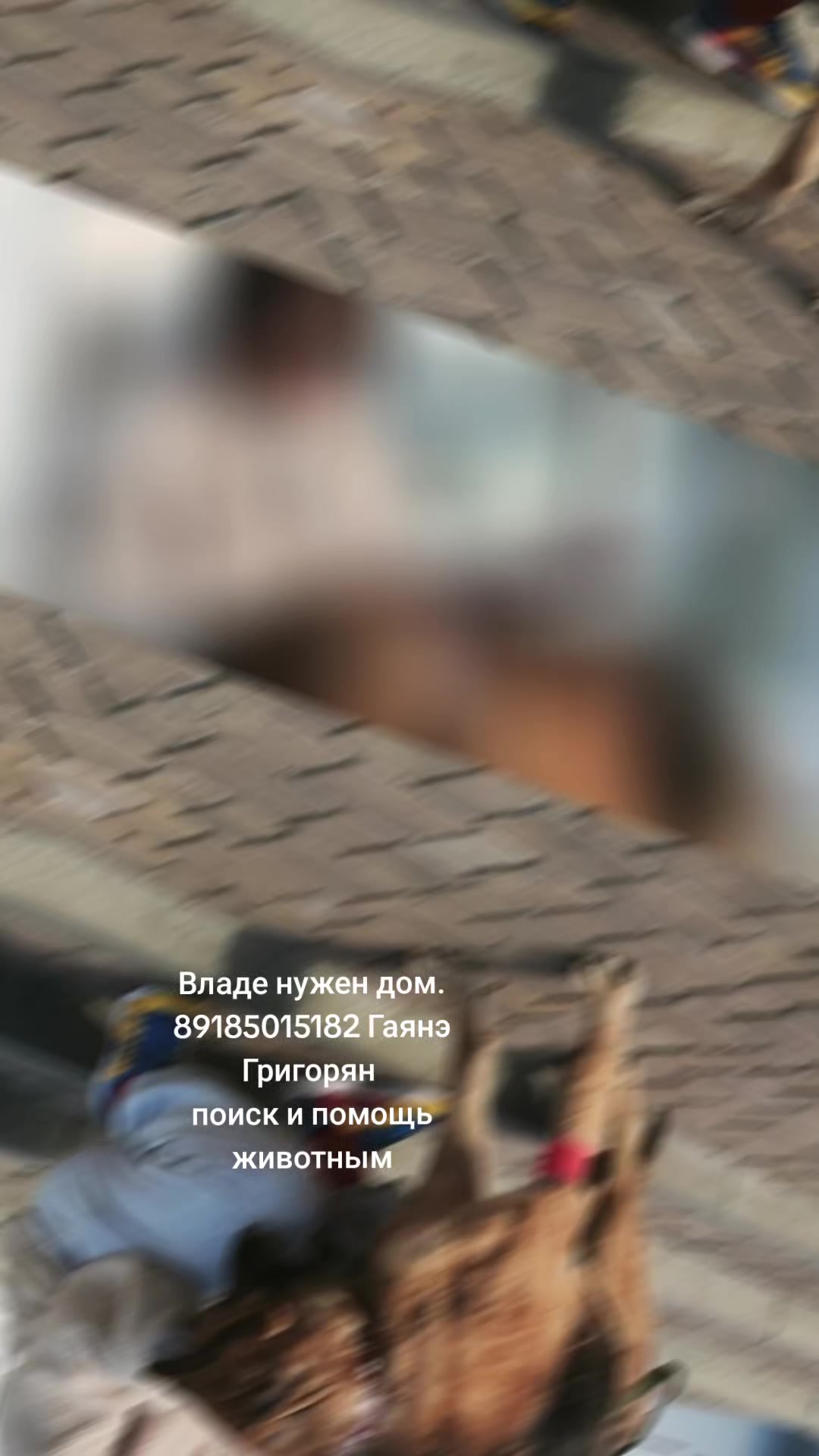 @Гаянэ Григорян