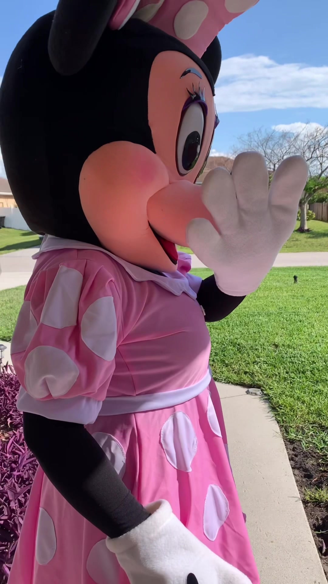@joystorymascots