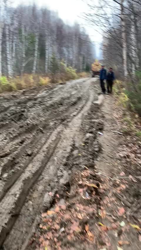@Константин Алёшин
