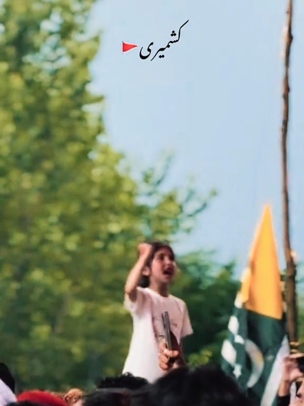 @Shah Rukh