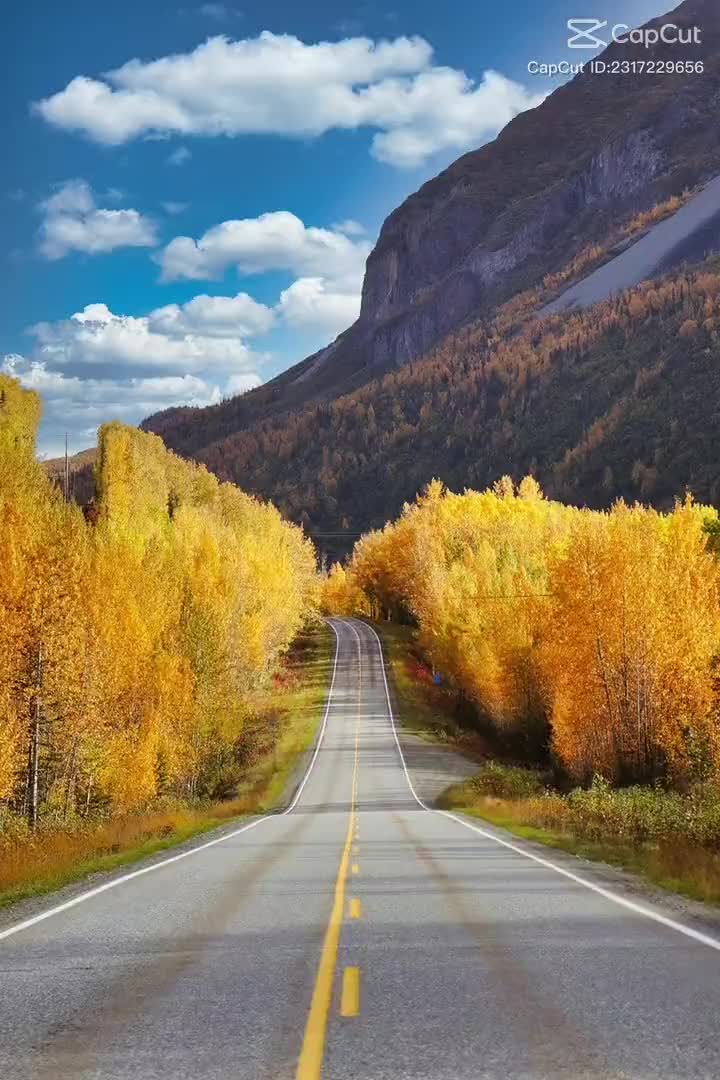 @Its_me_april🐻🦛🥁⚒️💚💚