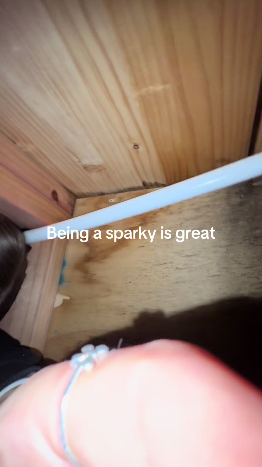 @LucyTheSparky