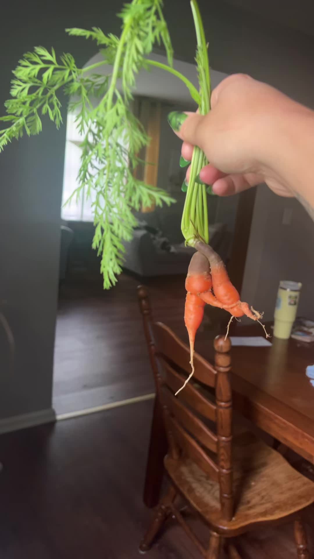 @JamieMamey