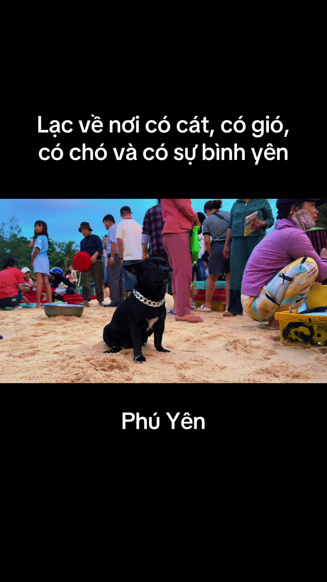 @Hỷ Lạc Du Ký 🇻🇳