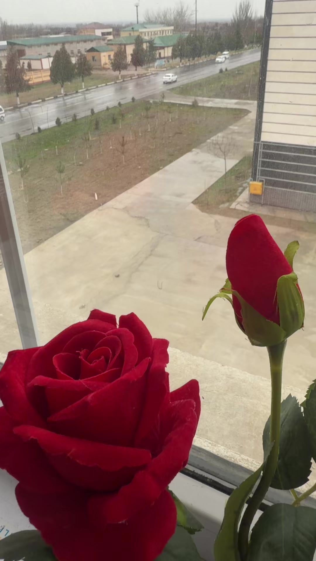@Maftuna