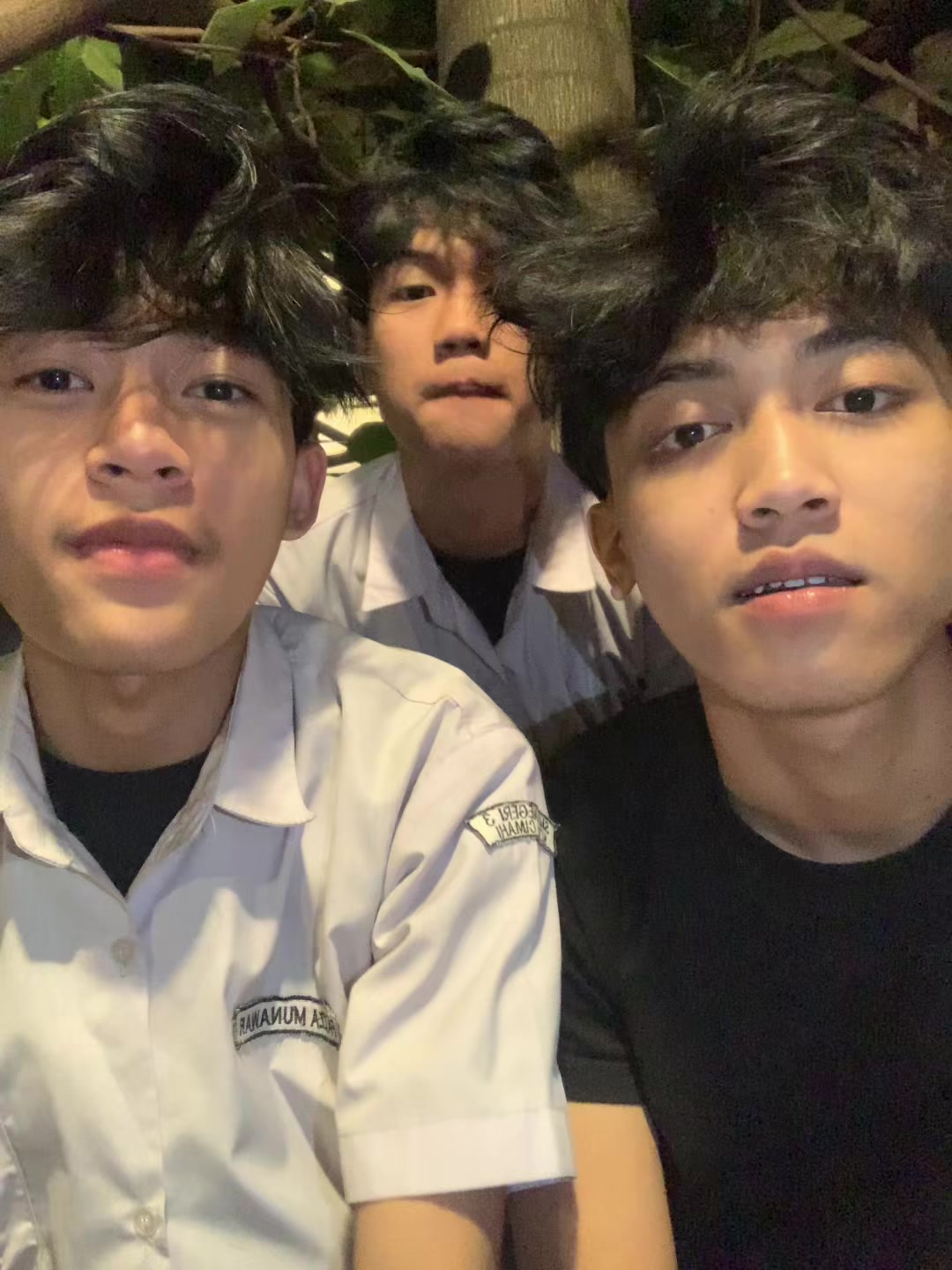 @pajaa