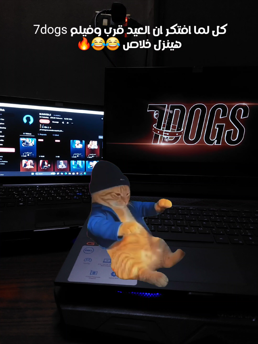 @M.SAYED.Z