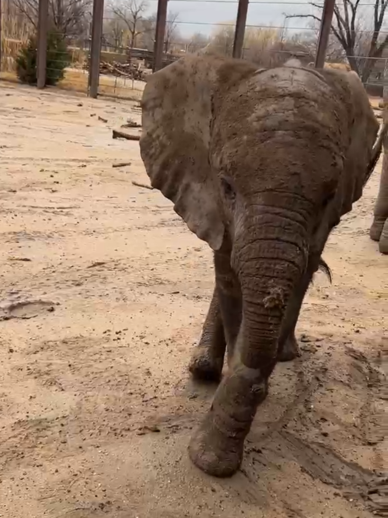 @Sedgwick County Zoo