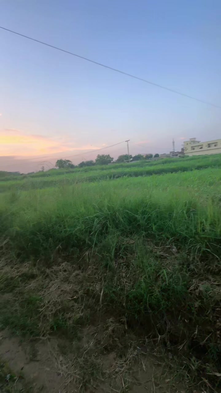 @RANI RAJPOOT 🦋