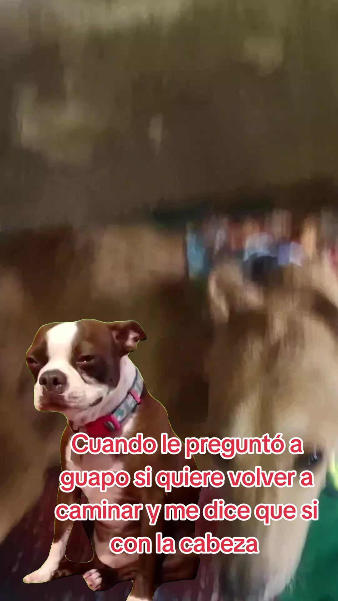 @ARIAS RESCATA