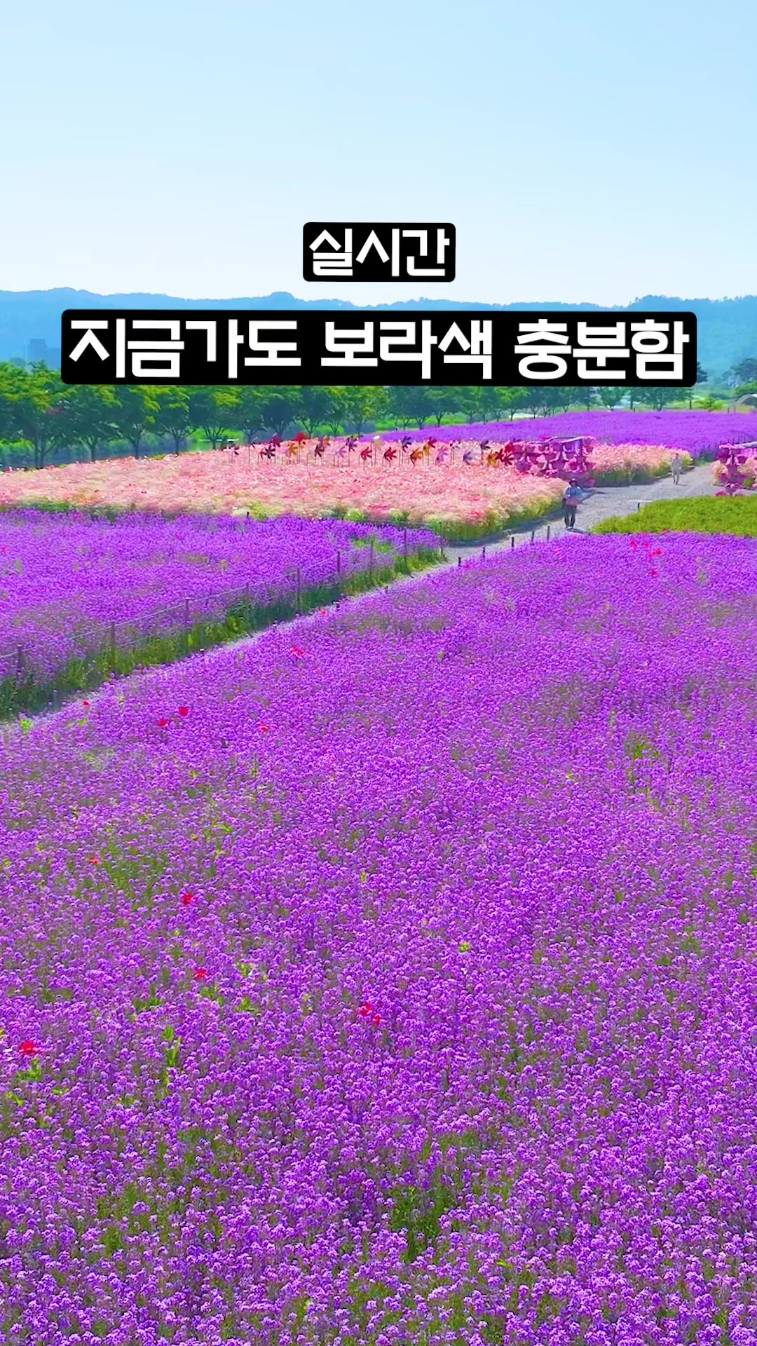 @Ddoo_pd