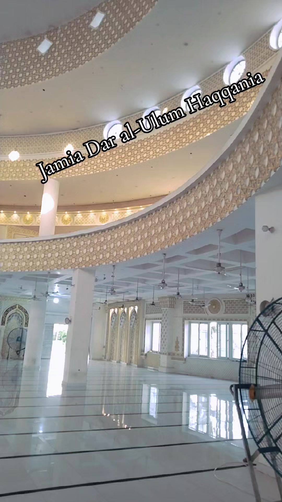 @aminmalang4
