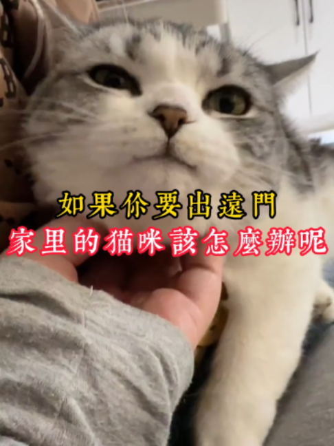 @catology