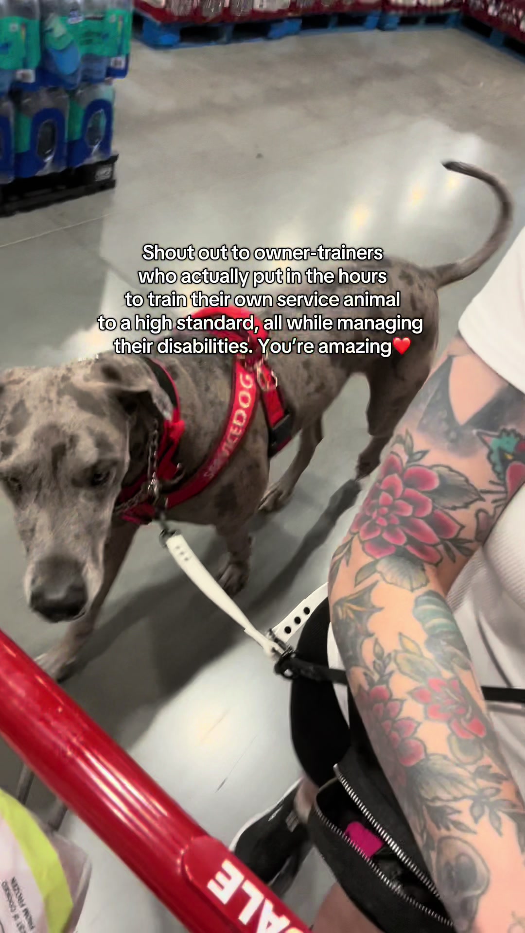 @lex 🐺⛓️