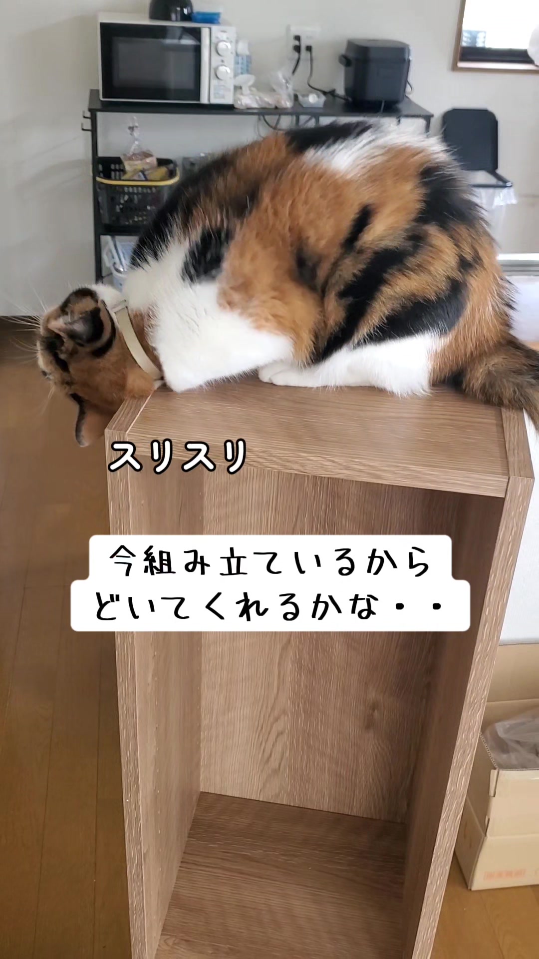 @😻kazuki😻
