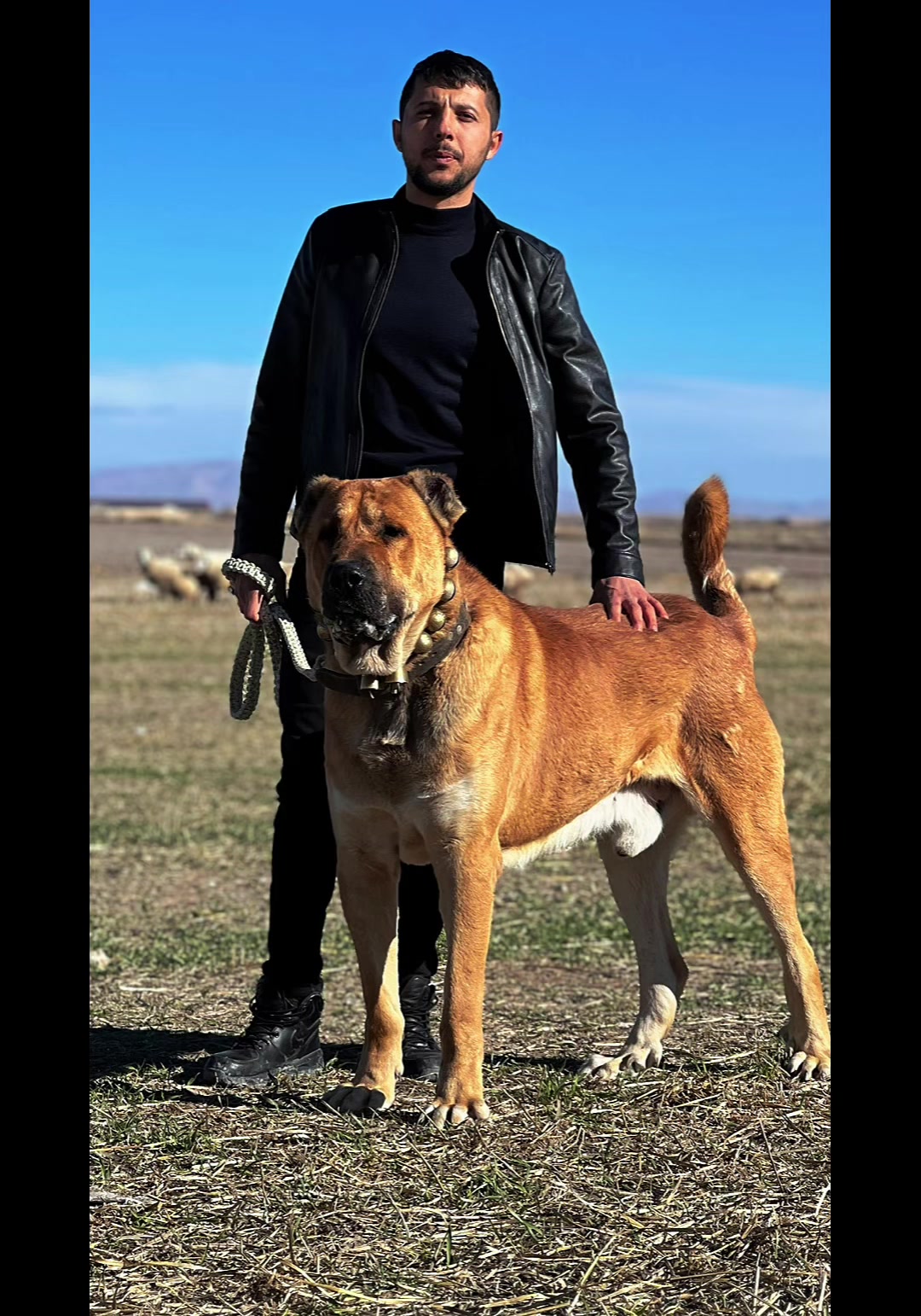 @Konyalı ziya