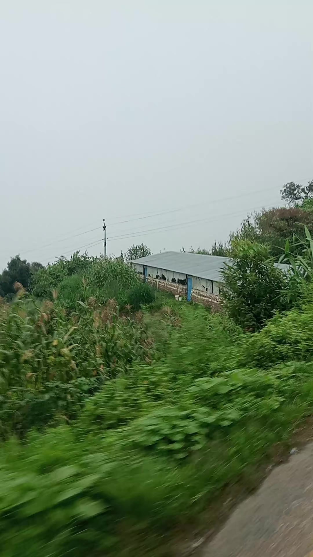 @बस्नेत काजी👨💻🇳🇵🇳🇵
