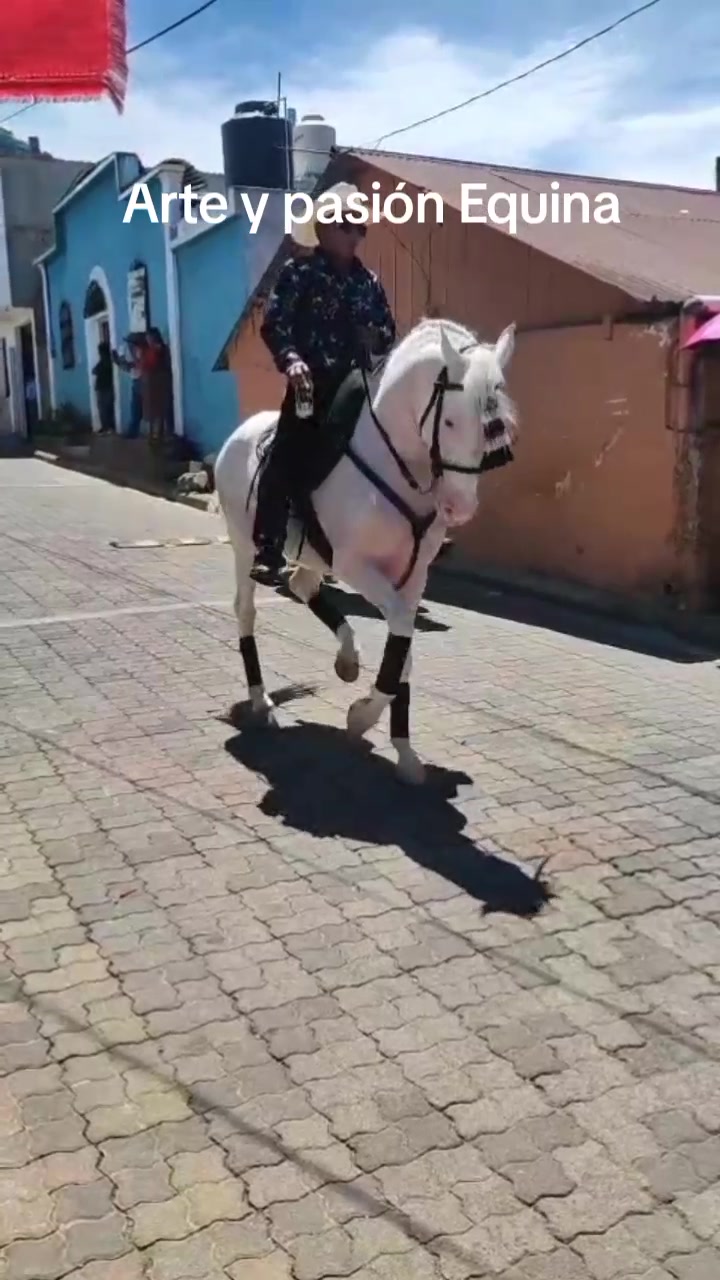 @Gerson sosa