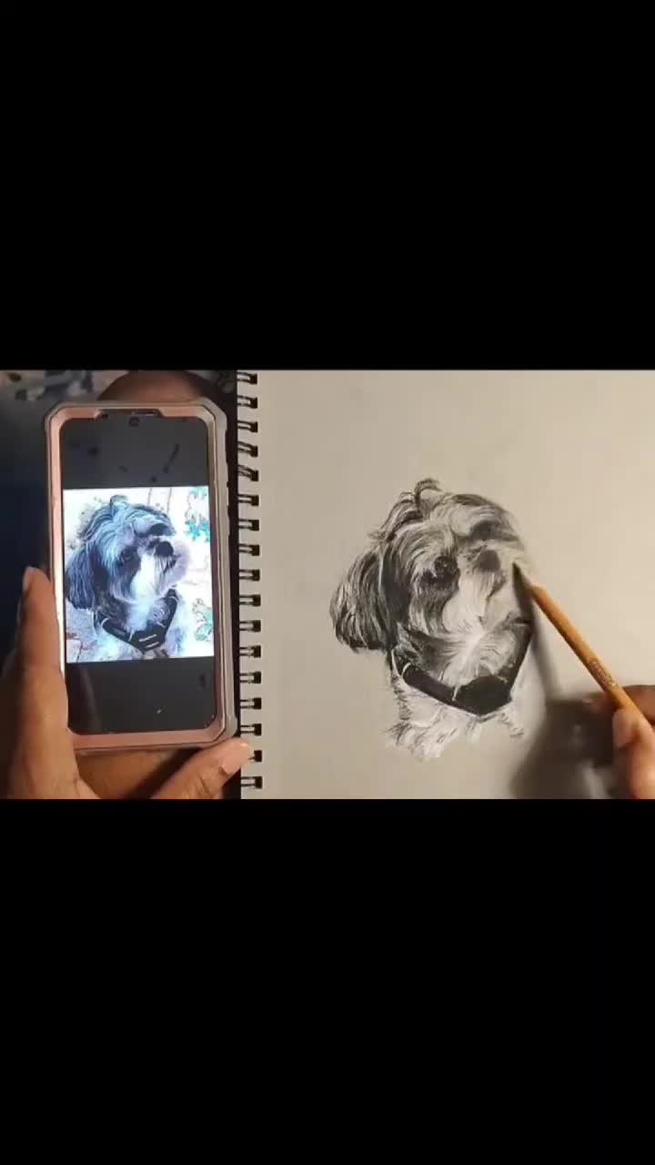 @Cynsaysional Art (Sensational)